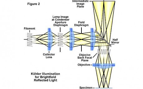 光学显微镜的构造
