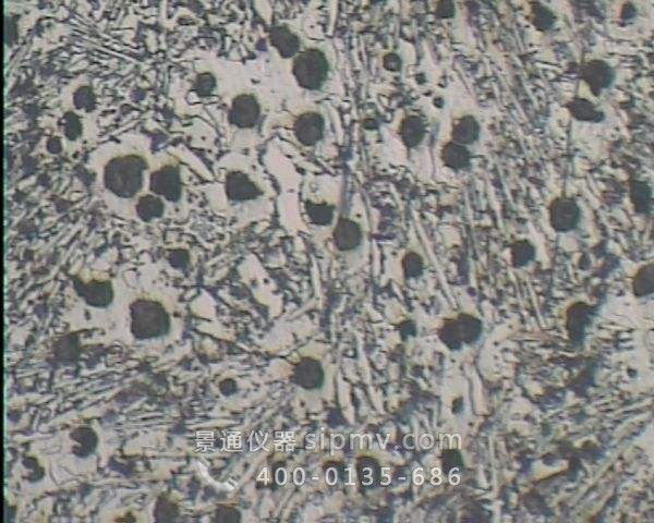 渗碳体金相显微组织图