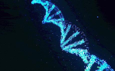 新发现表明人类细胞可以将RNA序列写入DNA