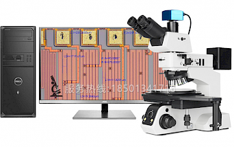 CM60BD研究级材料检测显微镜
