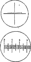 （a）两种不同的目镜测微尺（Ocular micrometer）
