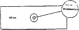 （b）载物台测微尺（Stage micrometer）