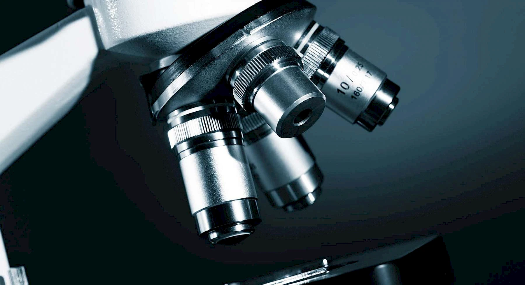 microscopy.jpg