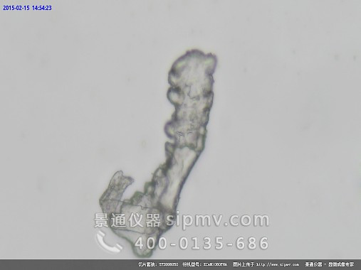 显微镜下的盐结晶体装片