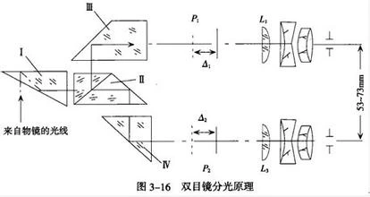 传统复式显微镜的光路