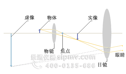 复合式显微镜成像原理图