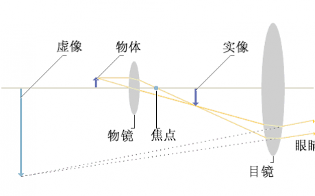 显微镜历史