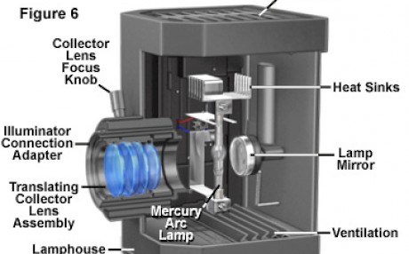 荧光显微镜的汞灯中心如何调节？