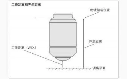 显微镜的工作距离是什么?