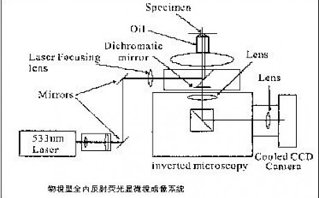 显微镜使用时用到的内反射荧光显微术是什么原理？
