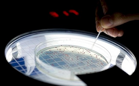 细菌培养检测技术