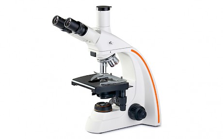 光学显微镜的观察方式