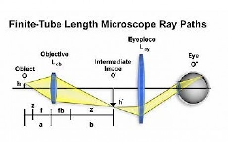 光学显微镜的成像原理