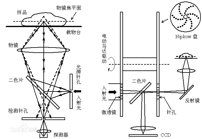 显微光学成像是什么概念?