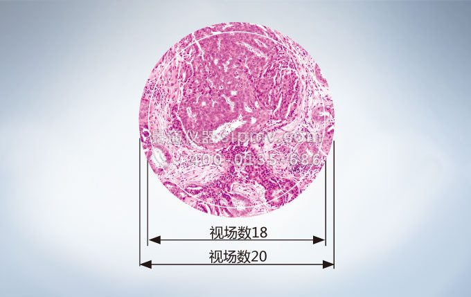 奥林巴斯CX23生物显微镜视场数