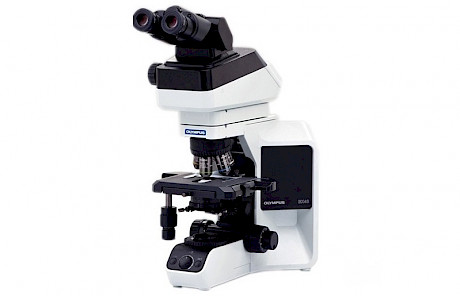 奥林巴斯BX43生物显微镜,明场/暗场/荧光/偏光/相差观察