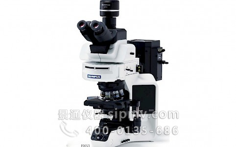 奥林巴斯BX53科研级全功能生物显微镜