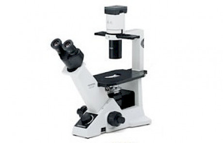 奥林巴斯CKX31倒置生物显微镜,细胞培养观察