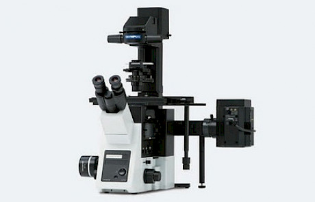 奥林巴斯IX73研究级倒置荧光显微镜