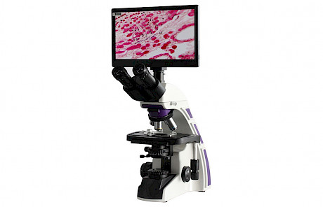 VMB2600A科研用三目生物显微镜
