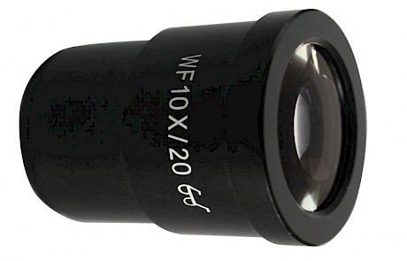 TSC10X体视显微镜带尺目镜