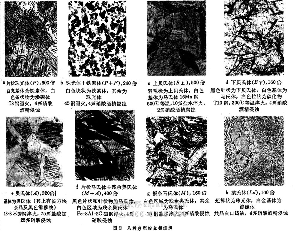 几种典型的金相组织