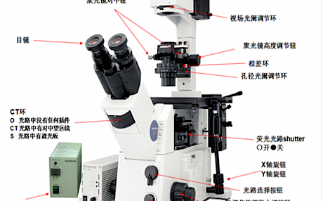 奥林巴斯IX71倒置荧光显微镜的操作方法