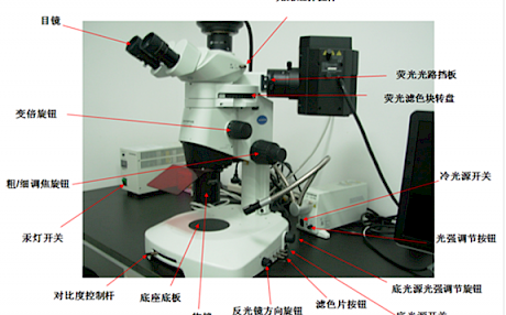 Olympus SZX16荧光体视显微镜使用说明书/操作手册