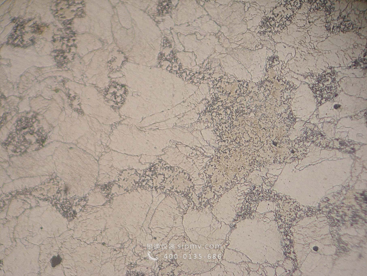 低合金钢的200倍金相组织图片
