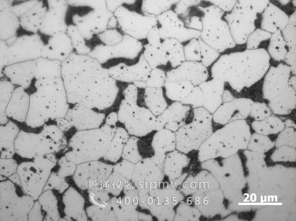 20号碳钢金相图谱