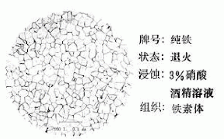 【收藏品】碳钢类金相图谱大全,不定期更新