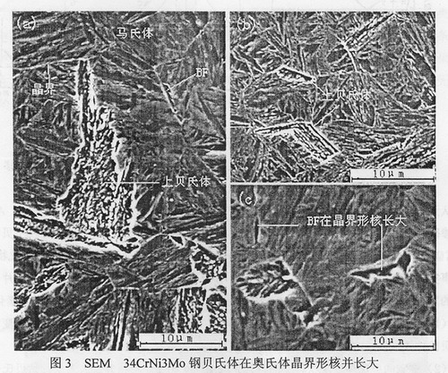 确定贝氏体的晶界及晶粒度的测定方法 景通仪器