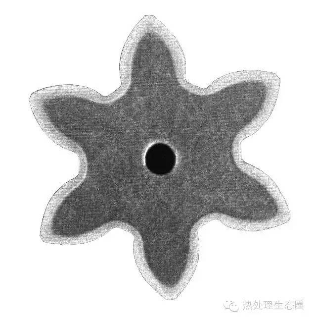 bf75e5ab295041afa3b5eac81614590e.jpeg