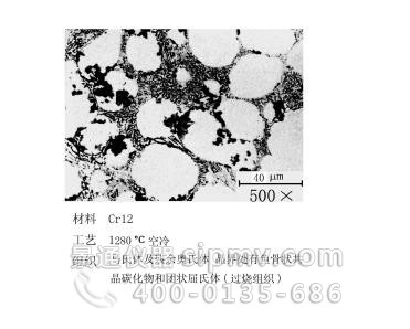 合金工具钢金相评级图谱2级