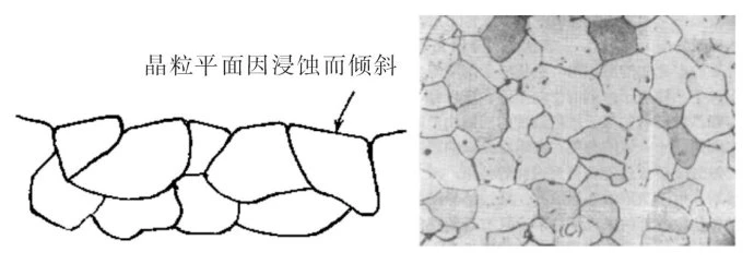 晶粒继续浸蚀