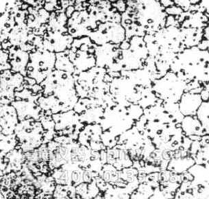 工具钢热处理第六级别金相图谱五级