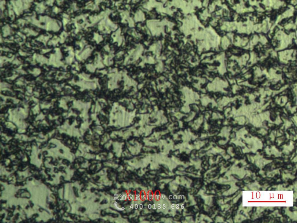 金相显微镜放大1000倍