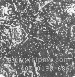 工具钢热处理第十四级别金相图谱5级