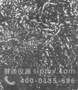 工具钢热处理第十四级别金相图谱6级