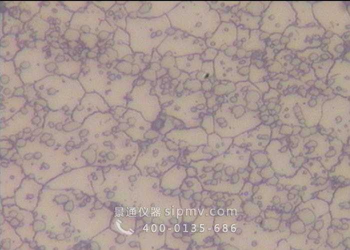 奥氏体不锈钢金相组织600倍