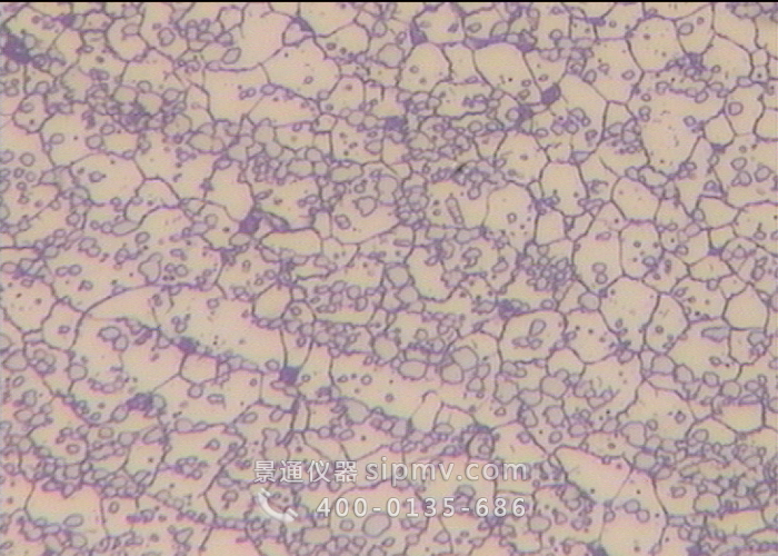 奥氏体不锈钢金相组织400倍