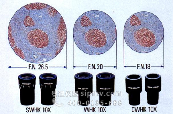 目镜和显微镜的视场直径