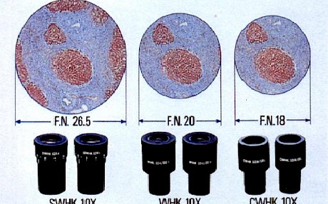 目镜和显微镜的视场直径有什么关系？