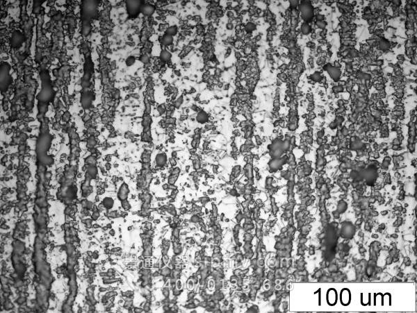 光学金相显微镜五百倍放大的奥氏体组织