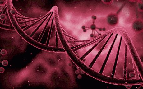 另类DNA结构可能会推动癌症治疗的发展