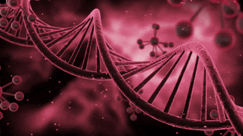 另类DNA 结构可能会推动癌症治疗的发展