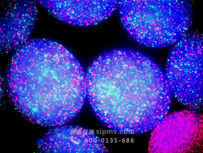 蓝色球体中的发光微生物