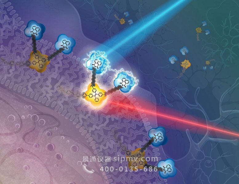 纳米级分子电场传感器装置