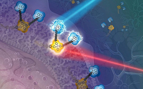 新型纳米分子装置可能够感应和改变细胞生物电场