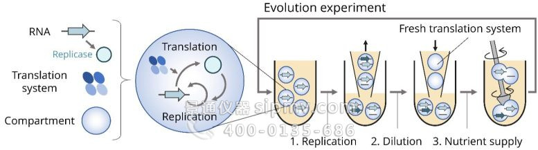 RNA进化实验